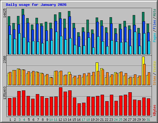 Daily usage for January 2026