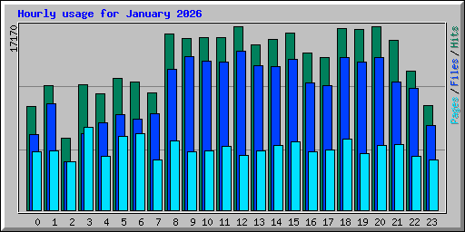 Hourly usage for January 2026