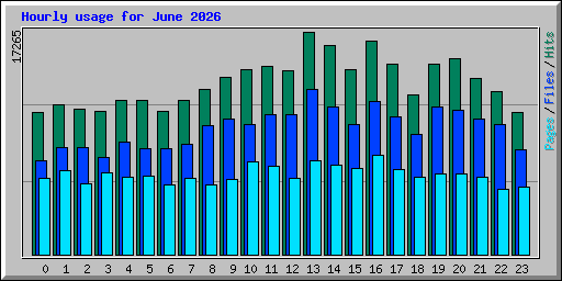 Hourly usage for June 2026