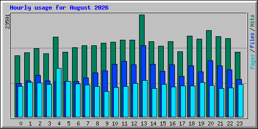 Hourly usage for August 2026